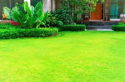 manicured green lawn with landscaping