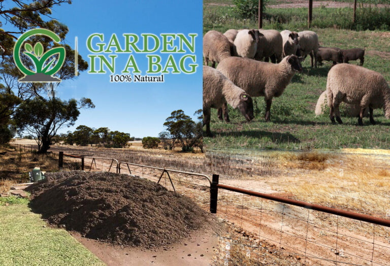 Sheep Manure in High Wycombe