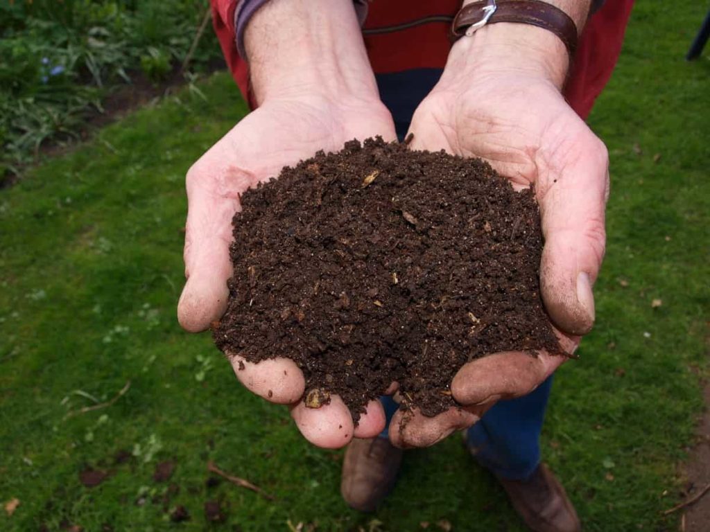 Sheep-Manure-Compost